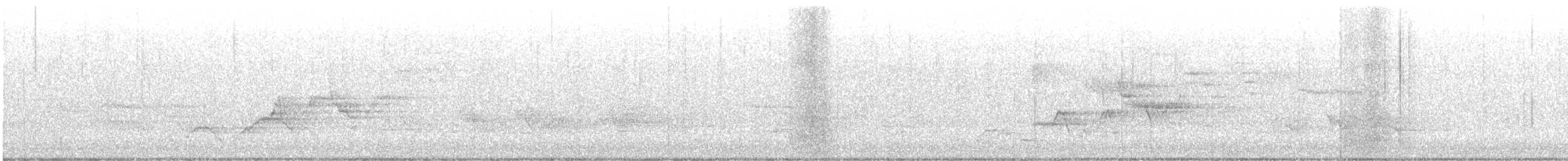 Swainson's Thrush - ML636349786