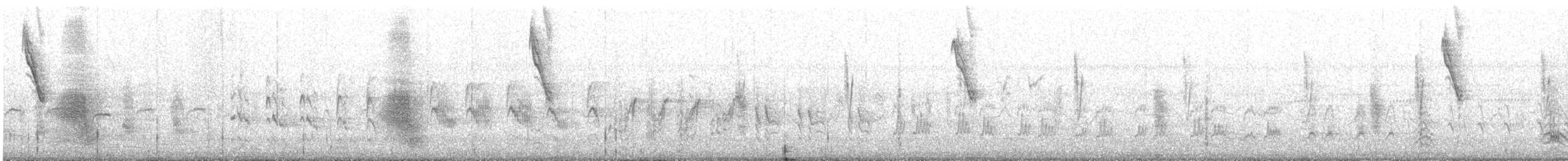 svarthodevever - ML636350972