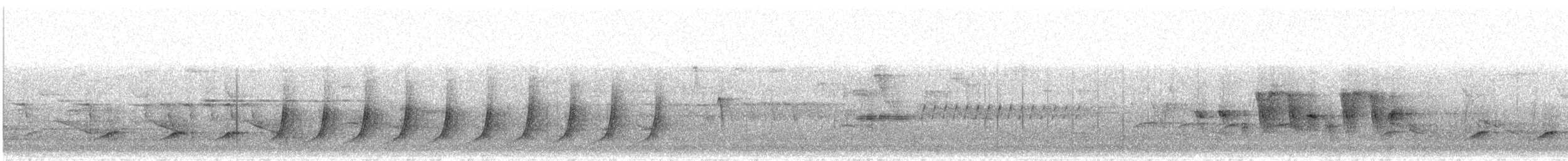 Connecticut Warbler - ML636353977