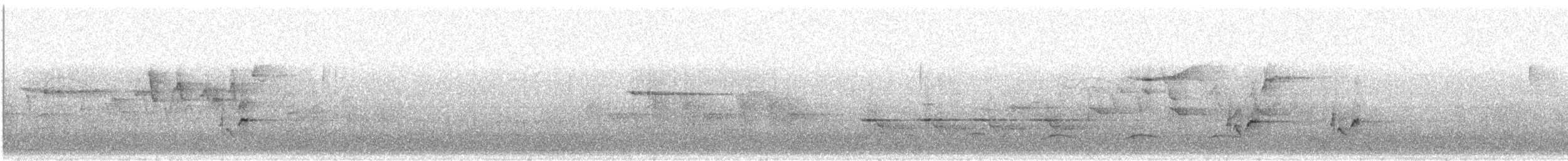 Connecticut Warbler - ML636353979