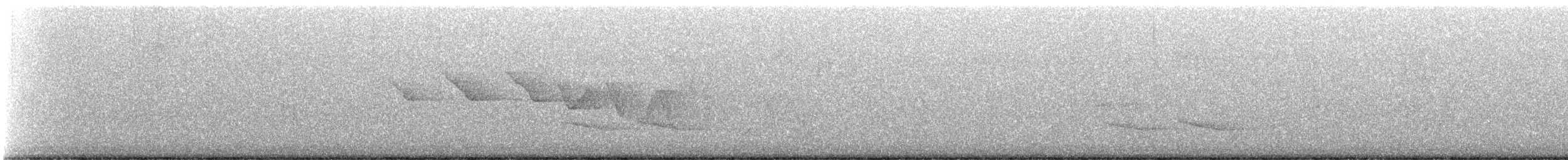 Louisiana Waterthrush - ML636355346