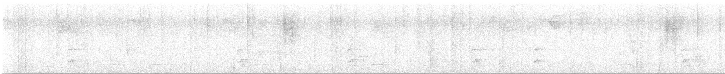 Star-throated Antwren - ML636360359