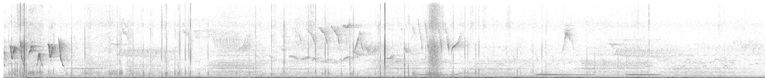 Connecticut Warbler - ML636360574