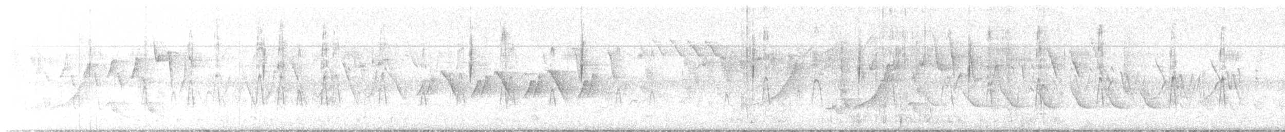 Blauflügelente - ML636361677