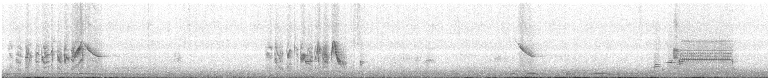 Bell's Vireo - ML636364408