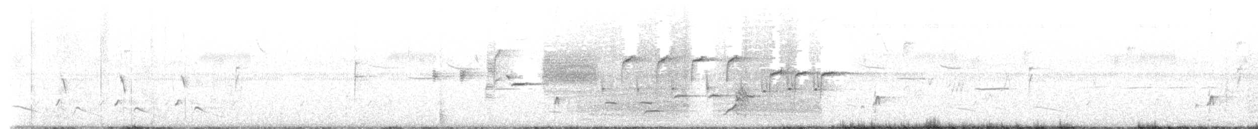 Troglodyte de Bewick - ML636366723