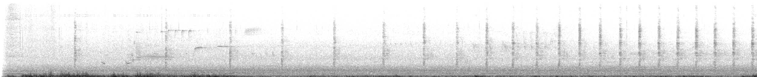 Clapper Rail - ML636366817