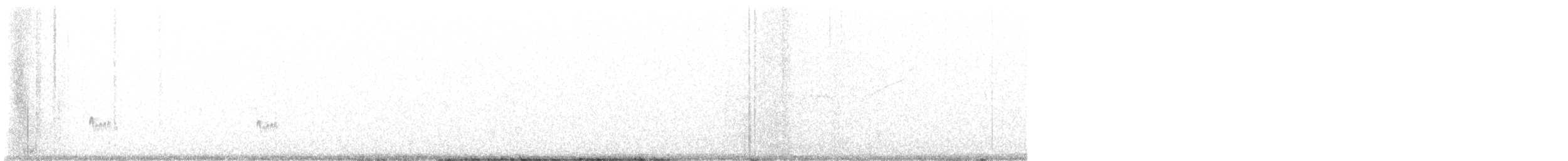 Ash-throated Flycatcher - ML636367487