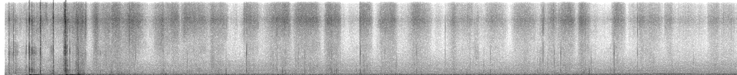 Swainson's Thrush - ML636371114