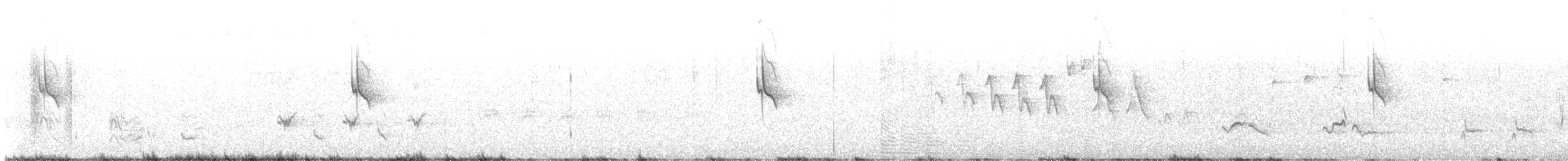 Crissal Thrasher - ML636371989