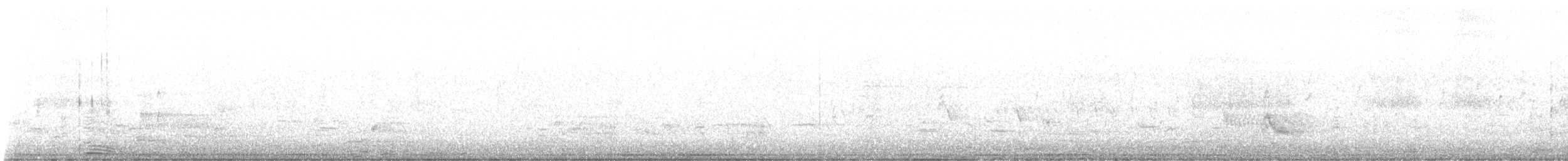 Forster's Tern - ML636373635
