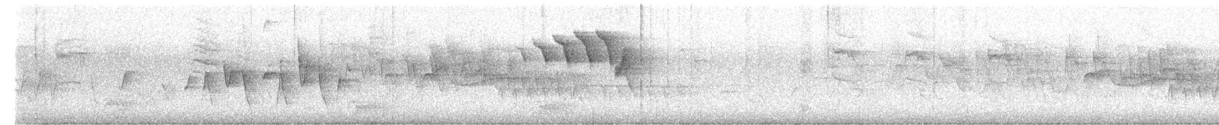 Connecticut Warbler - ML636373805