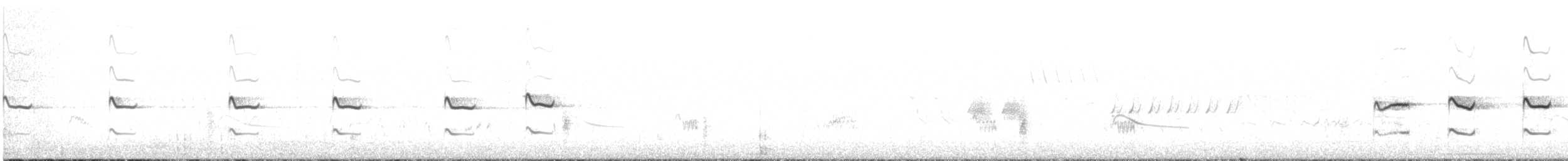 Kildir txirritxoa - ML636377351