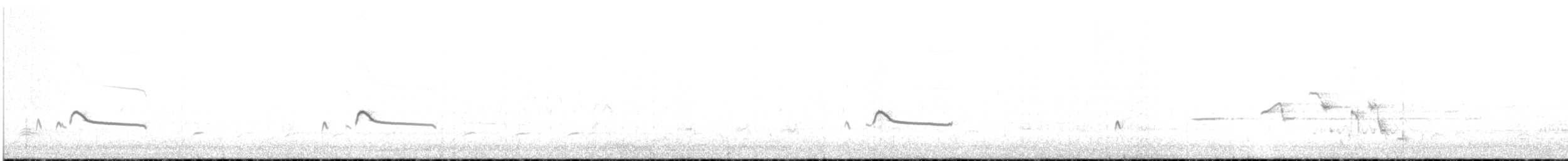 Say's Phoebe - ML636377359