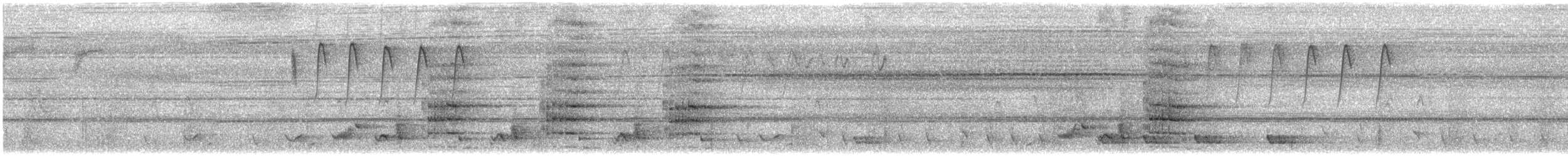 Banded Woodpecker - ML636377622