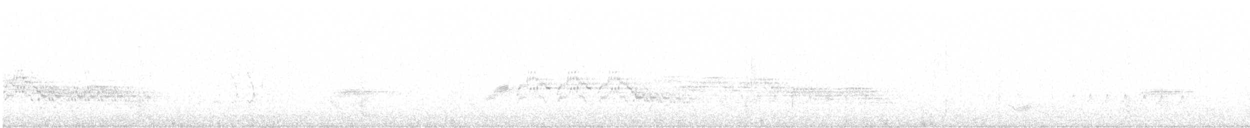 Veery - ML636378873