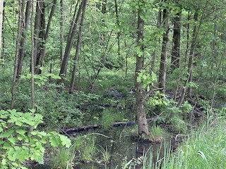 Mahoning Valley Trail--Greenbower to Price St., Stark, Ohio, United ...