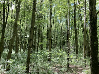 Mahoning Valley Trail--Greenbower to Price St., Stark, Ohio, United ...