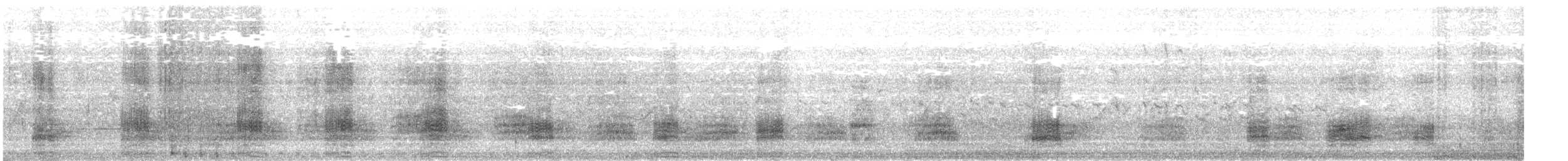 Mallard (Domestic type) - ML636386691