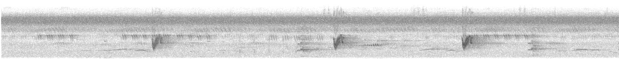 Savanna Nightjar (Northern) - ML636387245
