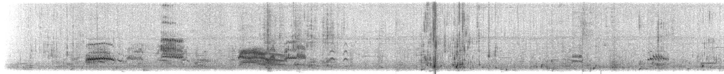 Bridled Tern - ML636389674