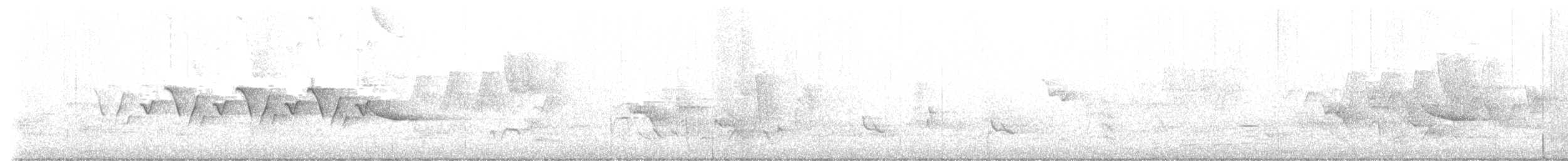 Paruline masquée - ML636389918