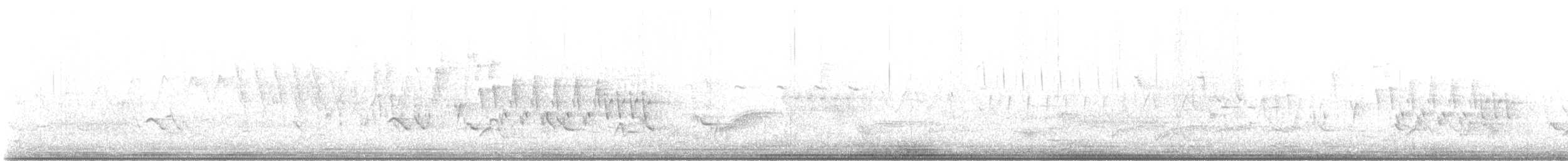 Troglodyte familier - ML636389942