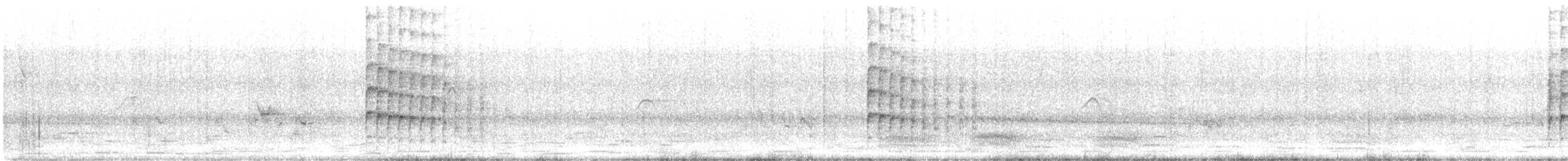 White-naped Woodpecker - ML636389955