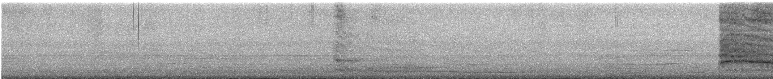 ギンカモメ（scopulinus） - ML636390054