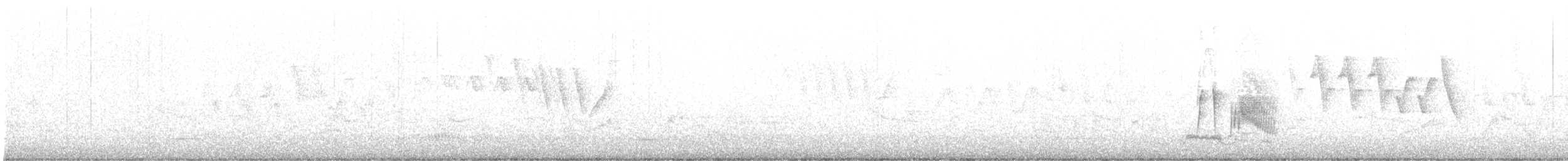 Moucherolle des saules (traillii) - ML636390224
