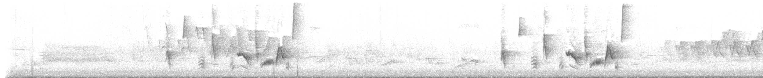 Viréo aux yeux blancs - ML636390372