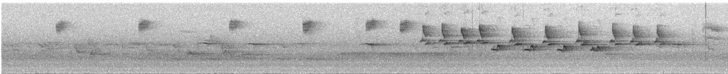 Red-breasted Flycatcher - ML636390882