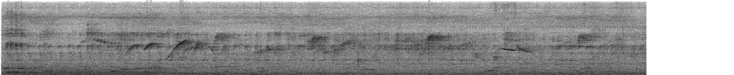 Picidae sp. - ML636390981