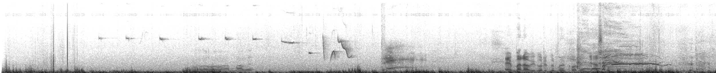 Rufous Bristlebird - ML636391997