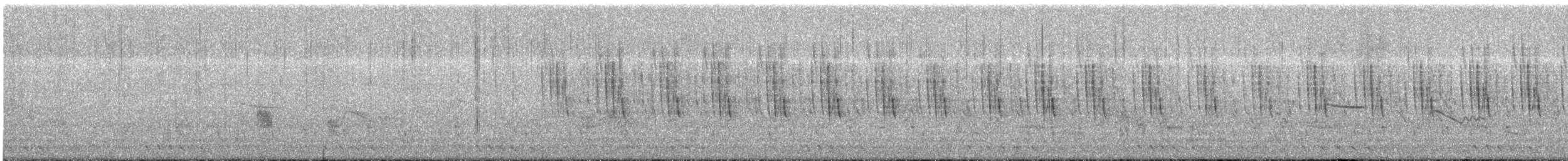 Striped Prinia - ML636392692