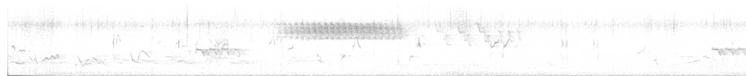 Brewster's Warbler (hybrid) - ML636392746