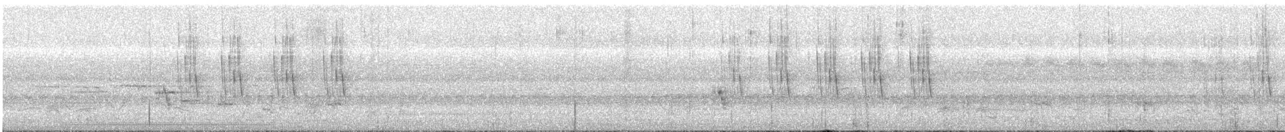 Striped Prinia - ML636392777