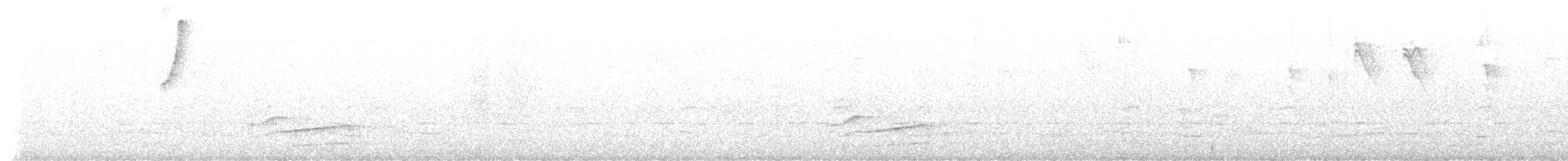 Spectacled Thrush - ML636392965