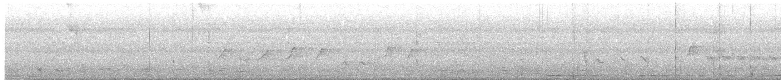 ハイイロオウチュウ（leucophaeus グループ） - ML636393437