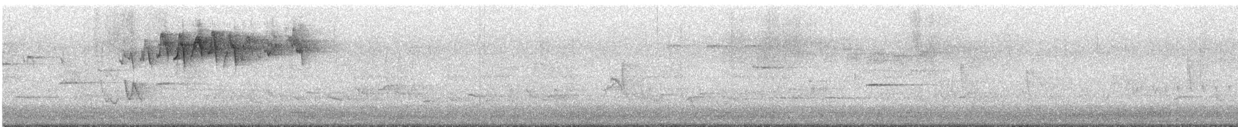Bay-breasted Warbler - ML636393929