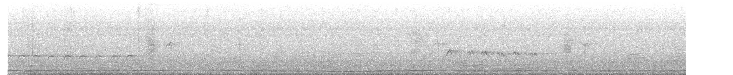 ハイイロオウチュウ（leucophaeus グループ） - ML636394107