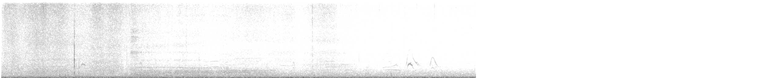 Canard d'Amérique - ML636394612