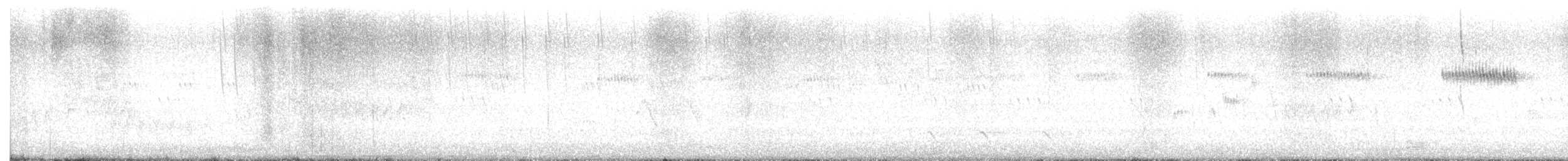 Broad-tailed Hummingbird - ML636395730