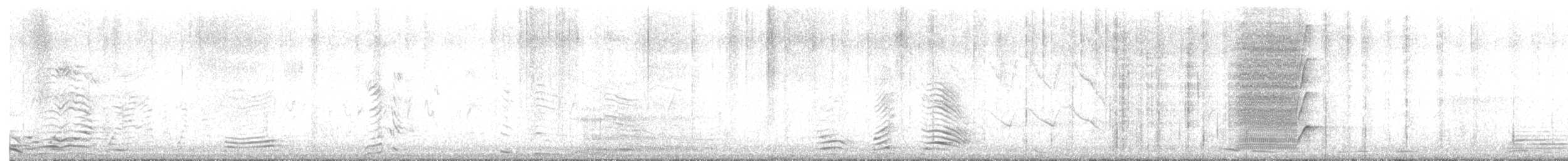 Great-tailed Grackle - ML636395869