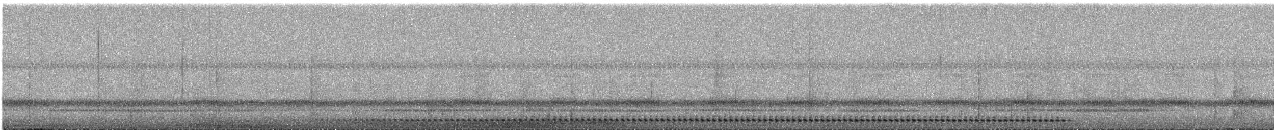 Bearded Screech-Owl - ML636396842