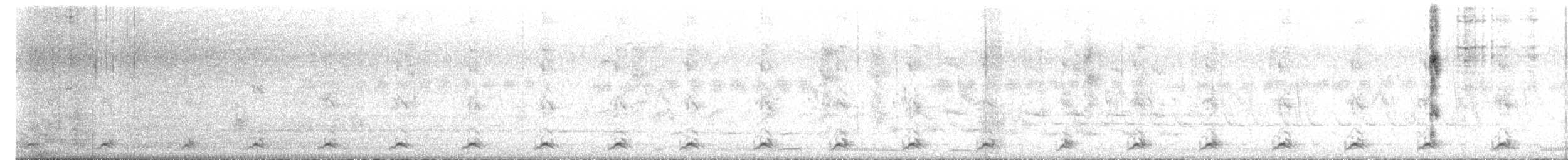 White-breasted Waterhen - ML636396889