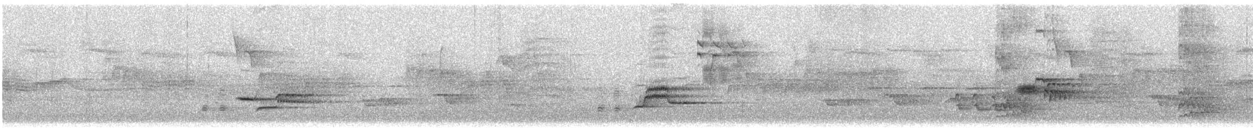 Wood Thrush - ML636396921