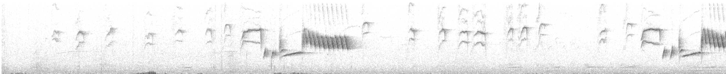 Bewick's Wren - ML636397331