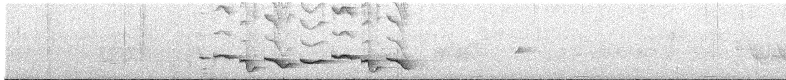 Nava's Wren - ML636397493