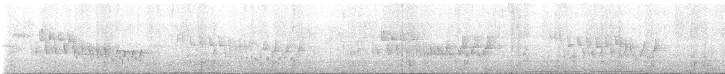 Northern House Wren - ML636397570